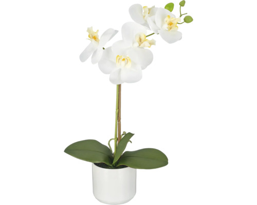 Kunstorchidee Phalaenopsis met witte bloemen en groene bladeren in een witte keramische pot.