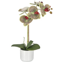 Kunstorchidee met gespikkelde bloemen in een witte pot.