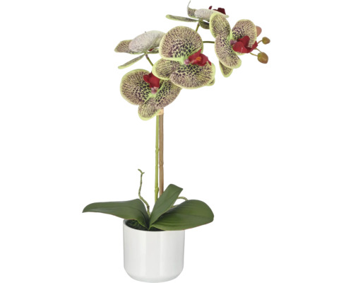 Kunstorchidee met gespikkelde bloemen in een witte pot.
