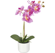 Kunstorchidee Phalaenopsis in witte keramiek pot met groene bladeren en gedetailleerde bloemen.