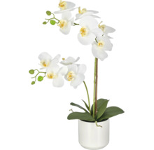 Kunstorchidee Phalaenopsis met twee stelen en witte bloemen in een witte keramieken pot.