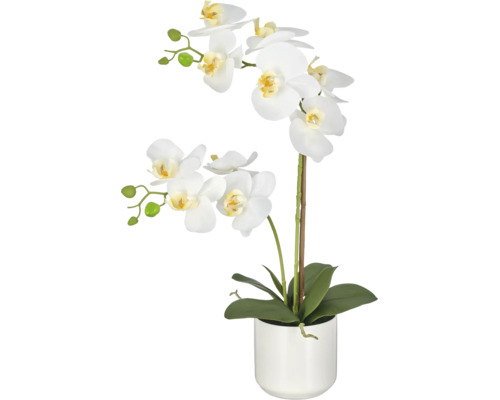 Kunstorchidee Phalaenopsis met twee stelen en witte bloemen in een witte keramieken pot.