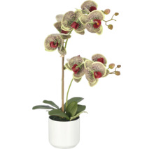 Kunstorchidee Phalaenopsis in witte pot met gedessineerde bloemen en groene bladeren.