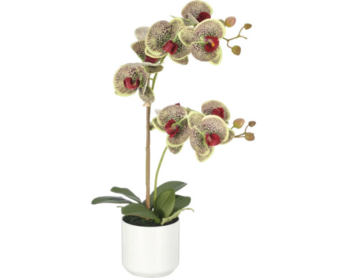 Kunstorchidee Phalaenopsis in witte pot met gedessineerde bloemen en groene bladeren.