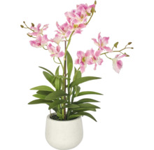Kunstorchidee Dendrobium met roze-witte bloemen in een witte keramieken pot.
