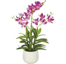 Kunstorchidee met paars-witte bloemen, groene bladeren en steunstok in een witte keramieken pot.