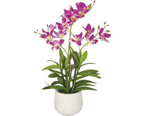 Kunstorchidee met paars-witte bloemen, groene bladeren en steunstok in een witte keramieken pot.