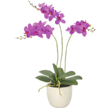 Kunstorchidee Phalaenopsis met paarse bloemen en groene bladeren in een crèmekleurige ronde pot.
