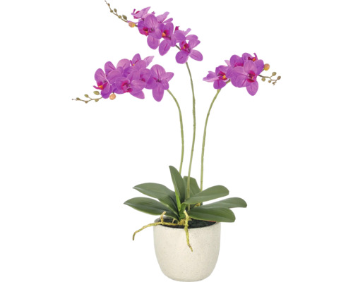 Kunstorchidee Phalaenopsis met paarse bloemen en groene bladeren in een crèmekleurige ronde pot.