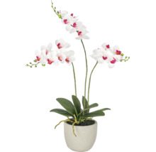 Kunstorchidee Phalaenopsis met drie takken en wit-roze bloemen in een grijze pot.