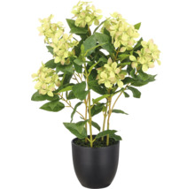 Kunsthortensia in zwarte pot met groene bladeren en lichte bloemen.