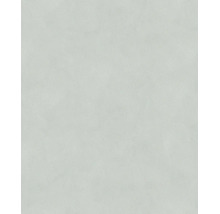 Gestructureerd vliesbehang in lichtgrijs met een fijne textuur.