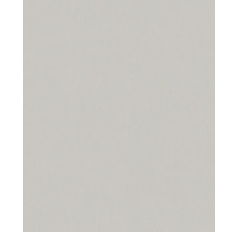Lichtgrijs behang met een fijne textuur