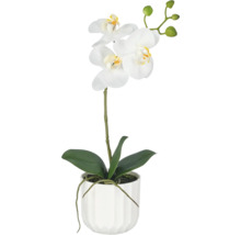 Kunstmatige orchidee Phalaenopsis in een gestructureerde plantenpot met bloemen en knoppen voor decoratie.