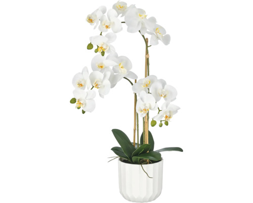 Kunstmatige Phalaenopsis orchidee in wit met groene bladeren in een gestructureerde bloempot