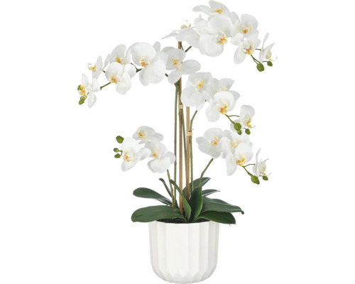 Kunstmatige orchidee Phalaenopsis in wit met veel bloemen en knoppen in een geribbelde pot.