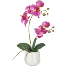 Kunstorchidee met roze bloemen en groene bladeren in een witte bloempot voor decoratie