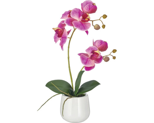 Kunstorchidee met roze bloemen en groene bladeren in een witte bloempot voor decoratie