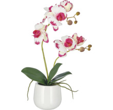 Kunstmatige orchidee in een moderne pot als decoratieve kamerplant