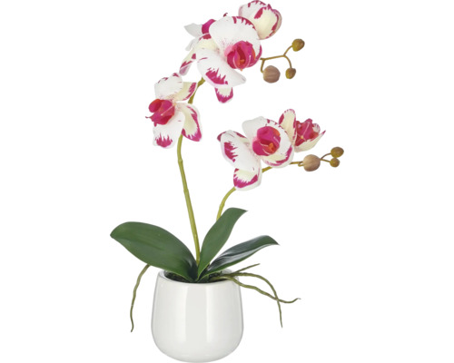 Kunstmatige orchidee in een moderne pot als decoratieve kamerplant