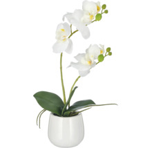Kunstmatige orchidee Phalaenopsis in wit met twee bloemstelen in een ronde bloempot als decoratie