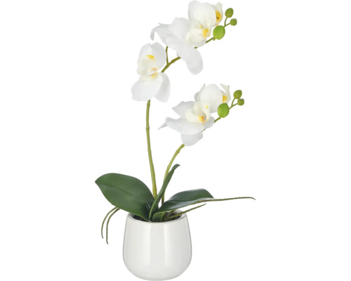 Kunstmatige orchidee Phalaenopsis in wit met twee bloemstelen in een ronde bloempot als decoratie