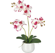 Kunstorchidee Phalaenopsis in witte keramieken pot