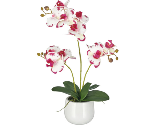Kunstorchidee Phalaenopsis in witte keramieken pot