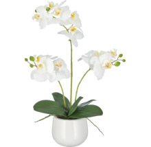 Kunstorchidee met drie stelen en witte bloemen in een ronde bloempot.