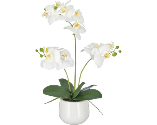 Kunstorchidee met drie stelen en witte bloemen in een ronde bloempot.