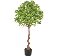Kunstboom met een gedraaide stam en dicht groen blad in een zwarte plantenpot als decoratie.