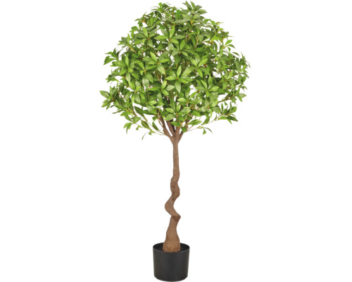 Kunstboom met een gedraaide stam en dicht groen blad in een zwarte plantenpot als decoratie.