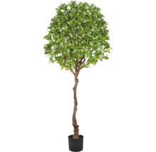 Kunstmatige laurierboom in pot met gedetailleerde stam en ronde kroon