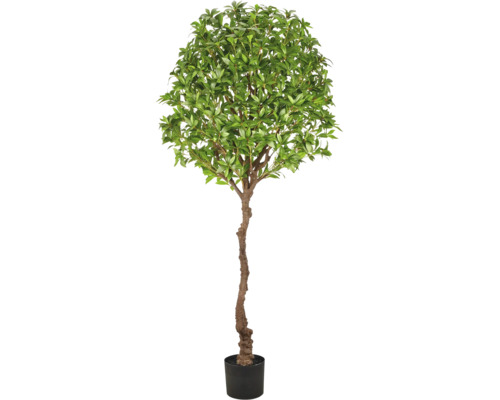 Kunstmatige laurierboom in pot met gedetailleerde stam en ronde kroon
