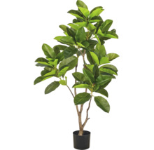 Kunstmatige rubberboom in een zwarte bloempot als decoratieve kamerplant voor in huis.