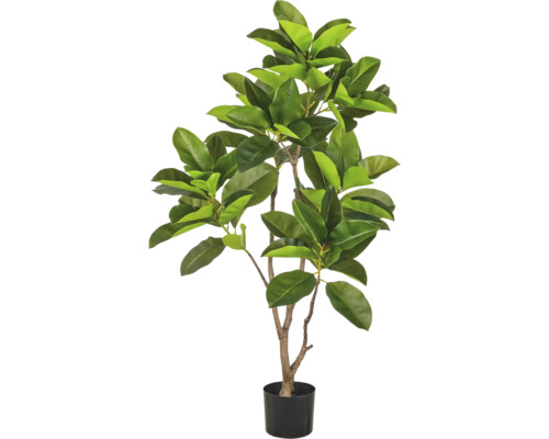 Kunstmatige rubberboom in een zwarte bloempot als decoratieve kamerplant voor in huis.