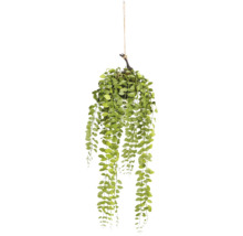 Kunsthangplant in bolvorm met kleine ronde blaadjes aan een touw voor decoratie