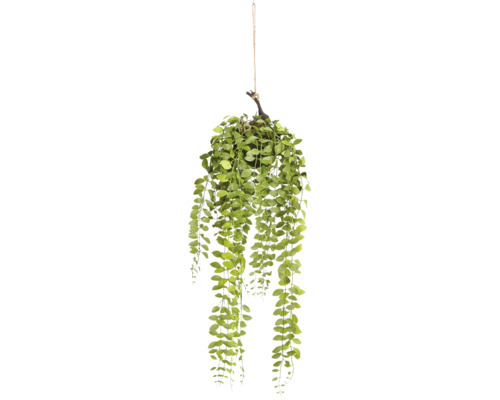 Kunsthangplant in bolvorm met kleine ronde blaadjes aan een touw voor decoratie