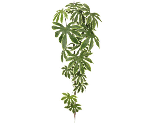 Kunstplant Fatsia japonica als slinger met handvormig gelobde bladeren en lichte bladranden voor interieurdecoratie.