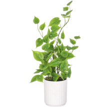 Kunstplant met hartvormige bladeren in een geribbelde plantenbak voor decoratie binnenshuis.