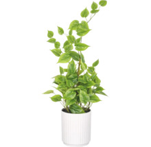 Kunstmatige klimplant in een ronde geribbelde witte bloempot voor decoratie binnenshuis.