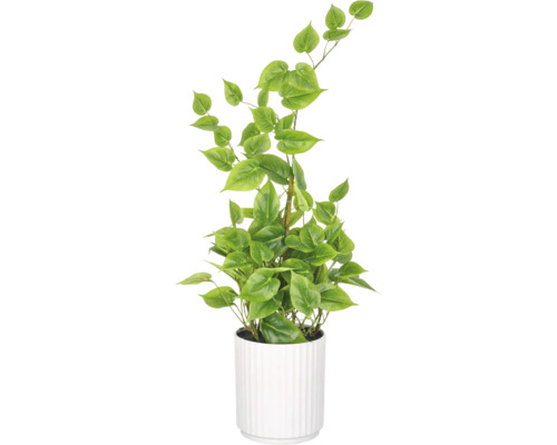 Kunstmatige klimplant in een ronde geribbelde witte bloempot voor decoratie binnenshuis.