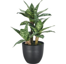 Kunstplant Sansevieria in pot als decoratieve kamerplant voor binnenshuis