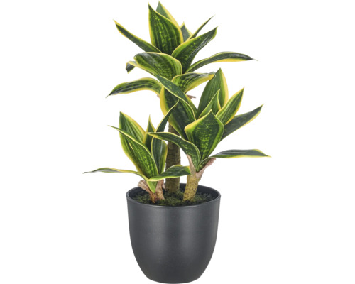 Kunstplant Dracaena in zwarte pot voor interieur