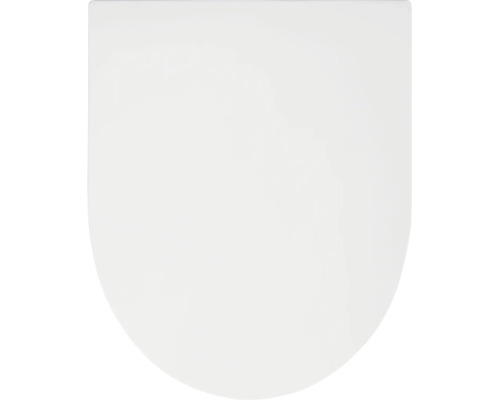 Witte toiletzitting deksel in D-vorm gemaakt van kunststof.