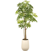 Kunstmatige Fatsia japonica plant in een ronde plantenpot voor decoratief gebruik binnenshuis