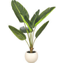 Kunstmatige strelitzia plant in een ronde pot als decoratie voor binnenshuis