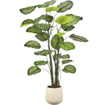 Kunstmatige Calathea plant met gedetailleerde bladeren in een eenvoudige sierpot voor decoratie.