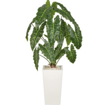 Kunstmatige Alocasia plant in hoge vierkante bloempot met siergrind