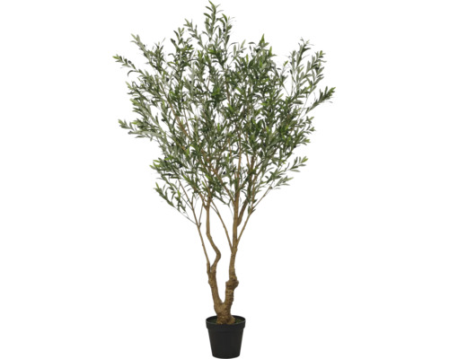 Kunstmatige olijfboom met kleine zwarte olijven in een zwarte bloempot als decoratieve kamerplant voor binnenshuis.
